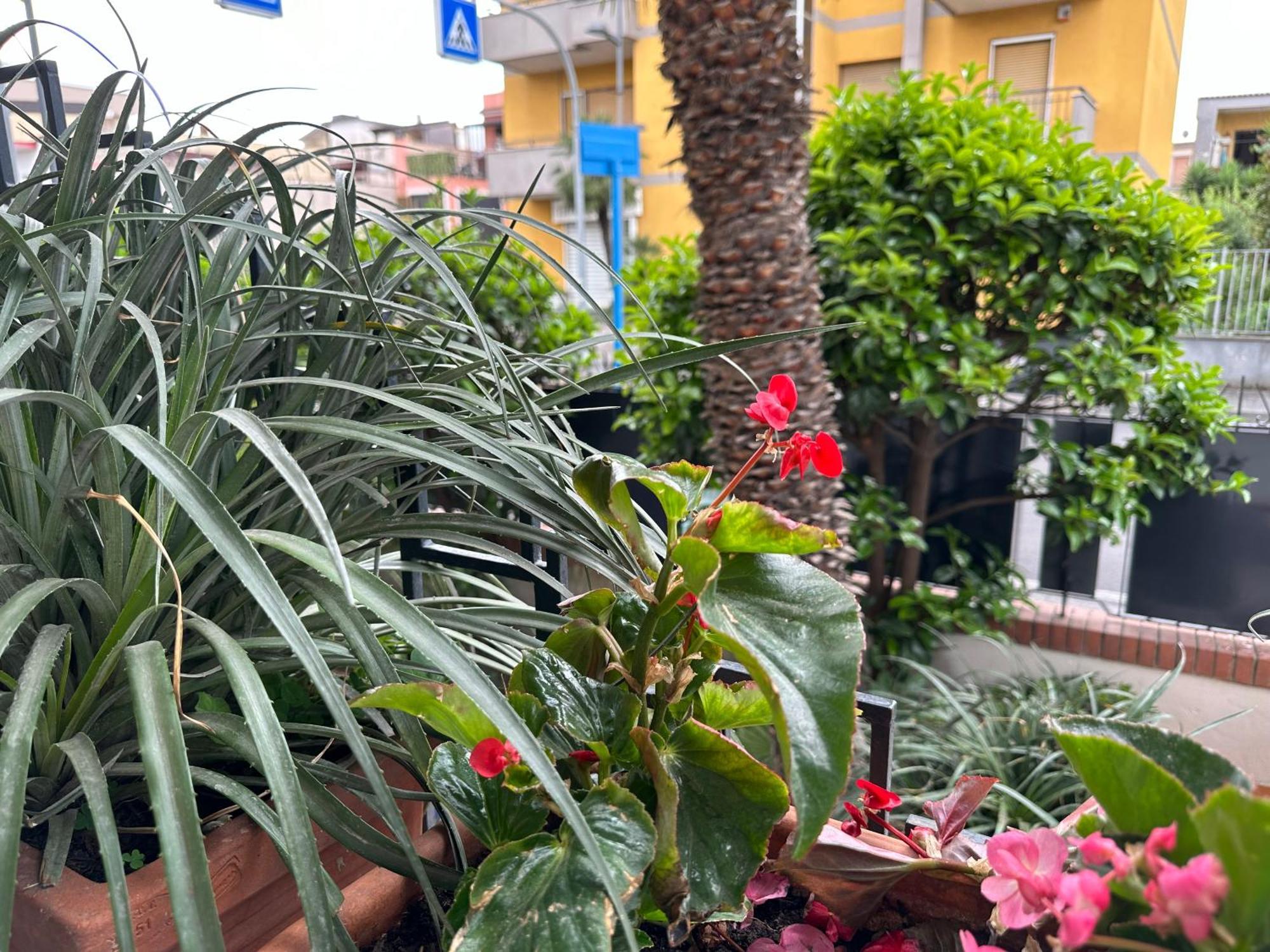 Pompei Blu Sant'Auri Apartment Scafati Exteriér fotografie